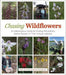 Chasing Wildflowers