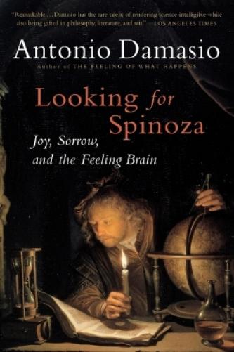Looking for Spinoza