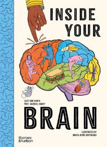 Inside Your Brain