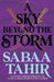 A Sky Beyond the Storm