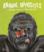 Animal Opposites