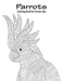 Parrots Coloring Book for Grown-Ups 1