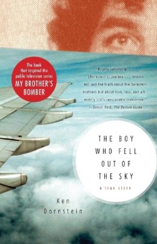The Boy Who Fell Out of the Sky