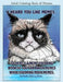Adult Coloring Book of Memes: Memes Coloring Book for Adults For Relaxation, Stress Relief, and Humor: Volume 51 (Therapeutic Coloring Books for Adults