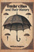 Umbrellas and Their History (Edition2024)