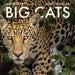 2026 Big Cats Wall Calendar