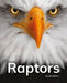 Raptors