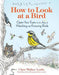 How to Look at a Bird