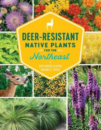 Deer-Resistant Native Plants for the Northeast