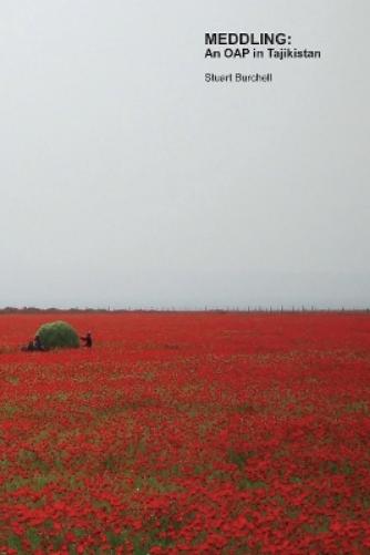 MEDDLING: An OAP in Tajikistan