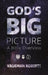 God's Big Picture