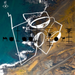 Biophilia Remix - Series VIII