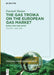 The Gas Troika on the European Gas Market