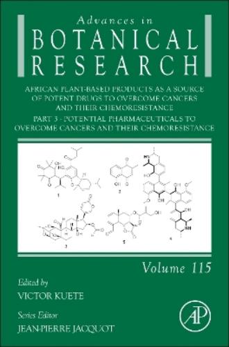 African Plant-Based Products as a Source of Potent Drugs to Overcome Cancers and their Chemoresistance