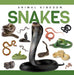 Snakes (Genius Kid: Animal Kingdom