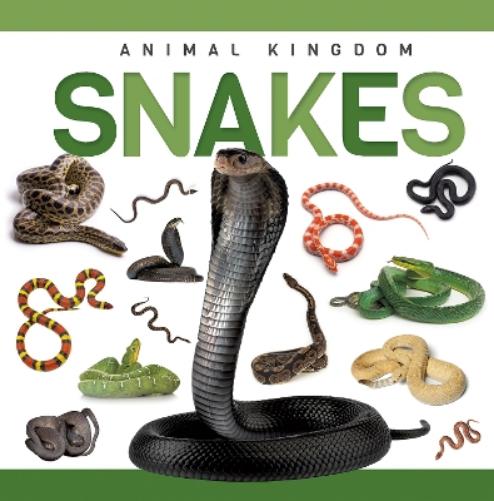 Snakes (Genius Kid: Animal Kingdom