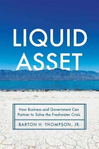Liquid Asset