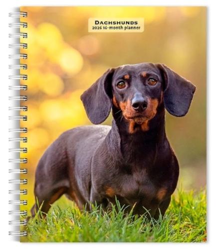 Dachshunds 2026 6 X 7.75 Inch Spiral-Bound Wire-O Weekly Engagement Planner Calendar New Full-Color Image Every Week