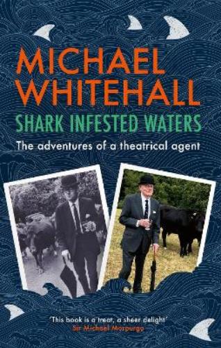 Shark-Infested Waters