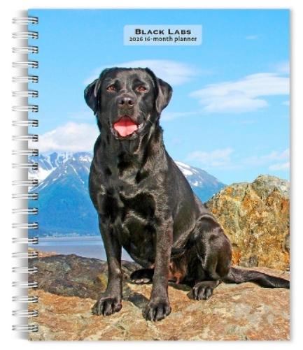 Black Labrador Retrievers 2026 6 X 7.75 Inch Spiral-Bound Wire-O Weekly Engagement Planner Calendar New Full-Color Image Every Week
