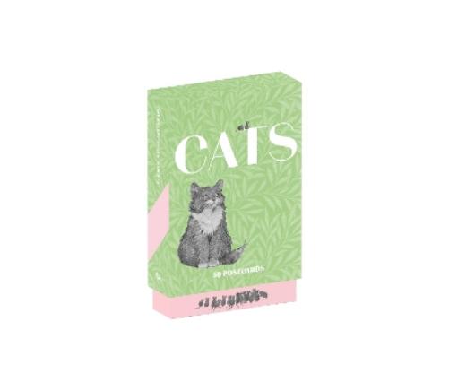 Cats of the V&A