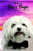 My Name Is Bacci Bogie:Frequent Flyer Extraordinaire