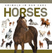 Horses (Genius Kid: Animals in our Care