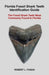 Florida Fossil Shark Teeth Identification Guide
