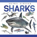 Sharks