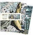 Angela Harding: Coastlines Set of 3 Midi Notebooks