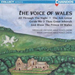 The Voice of Wales - Various Artists