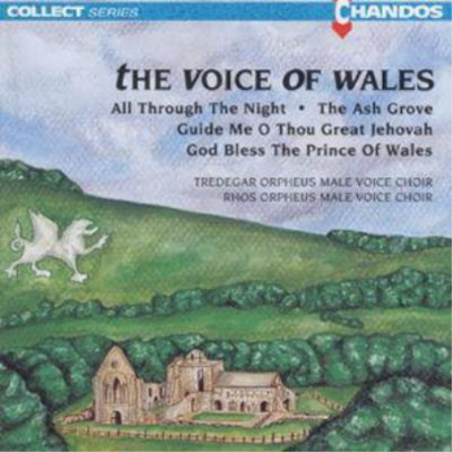 The Voice of Wales - Various Artists
