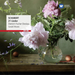 Schubert: 21 Lieder
