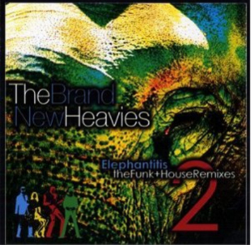 Elephantitis: The Funk & House Remixes - Volume 2