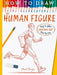 How To Draw The Human Figure