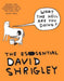 What The Hell Are You Doing?: The Essential David Shrigley