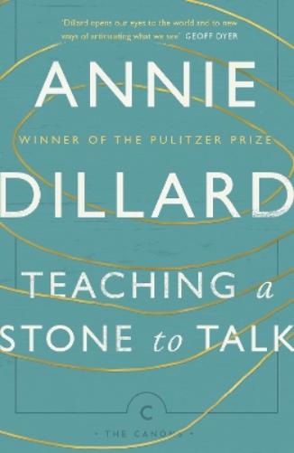 Teaching a Stone to Talk