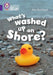 What's washed up on shore?