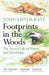 Footprints in the Woods