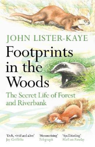 Footprints in the Woods