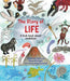 The Story of Life