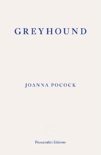 Greyhound