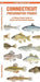 Connecticut Freshwater Fishes