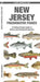 New Jersey Freshwater Fishes: A Waterproof Folding Guide to Native and Introduced Species (Nature Observation North America