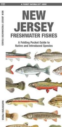 New Jersey Freshwater Fishes: A Waterproof Folding Guide to Native and Introduced Species (Nature Observation North America
