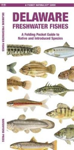 Delaware Freshwater Fishes