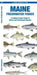 Maine Freshwater Fishes