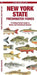 New York State Freshwater Fishes