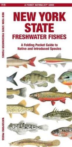 New York State Freshwater Fishes
