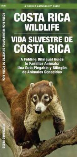 Costa Rica Wildlife/Vida Silvestre de Costa Rica